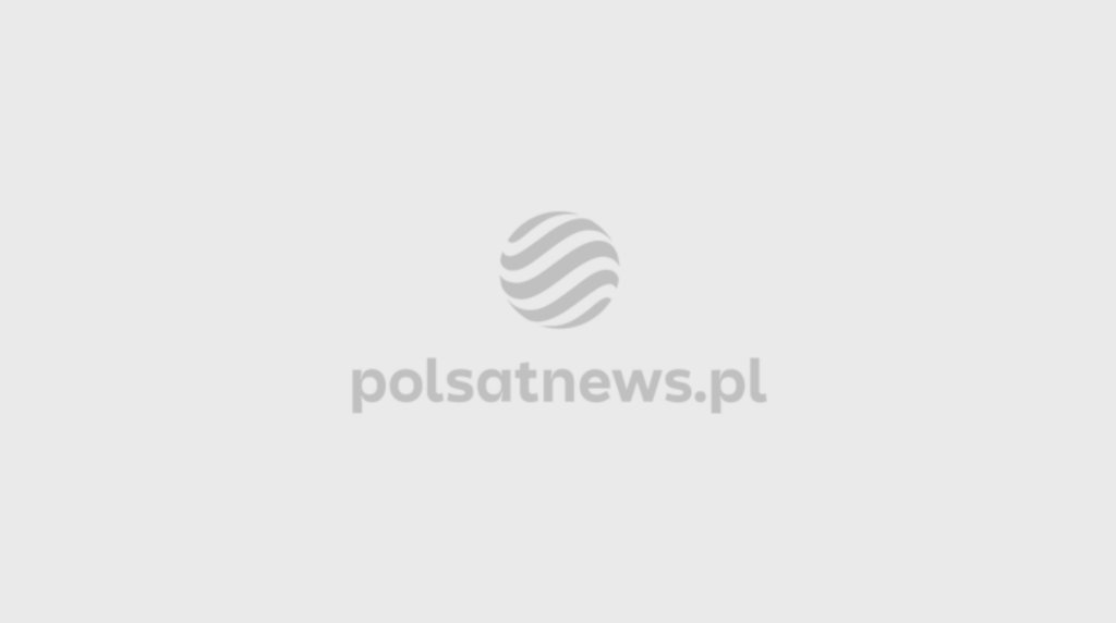 Logo polsaatnews.pl